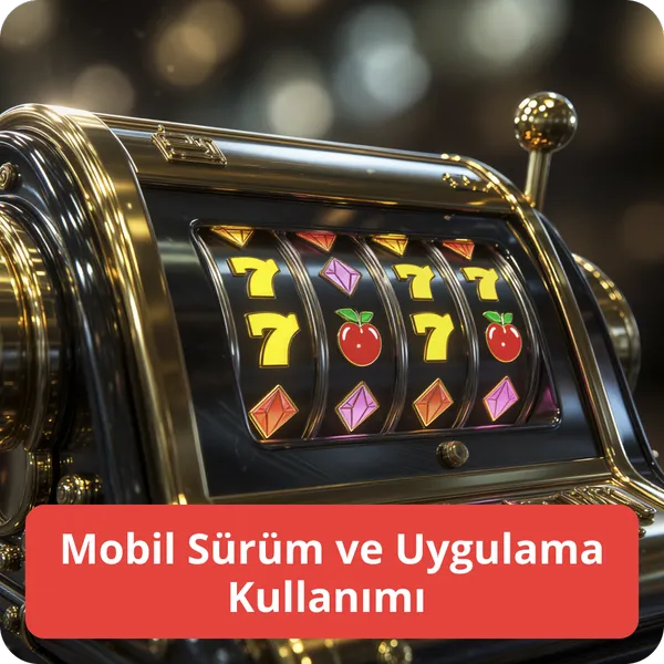 Mobil Sürüm ve Uygulama Kullanımı